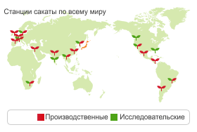 img_international03.gif