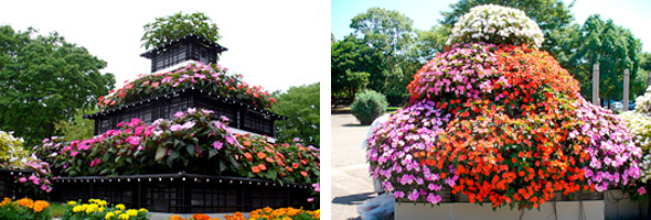 img01%20(1)_0.jpg