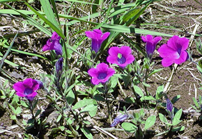 img01_11.jpg