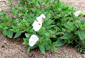 img02_10.jpg