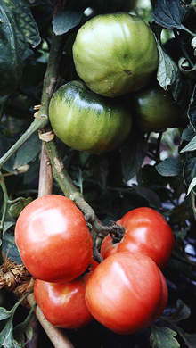 img02_4.jpg