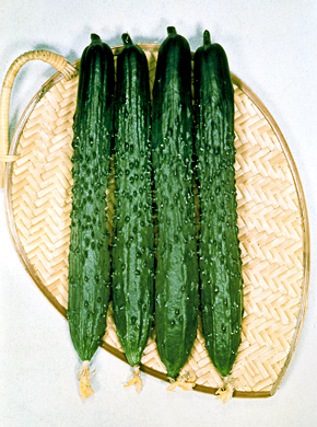 img03_16.jpg