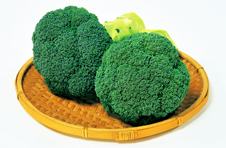 img05_6.jpg