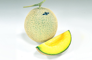 img05_8.jpg