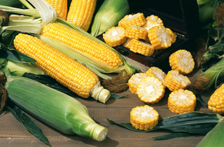 img08_8.jpg