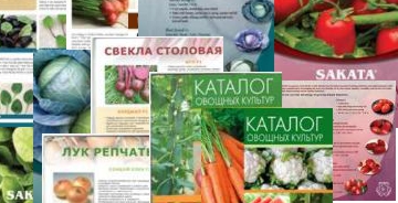 скачать файлы